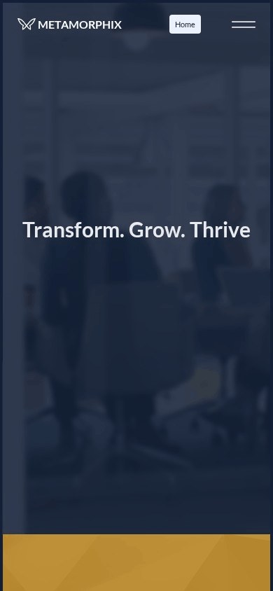 Metamorphix on mobile